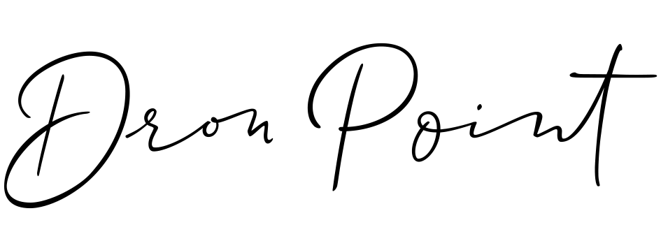 logo DronPoint